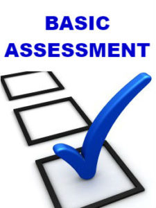 Basic Assessment